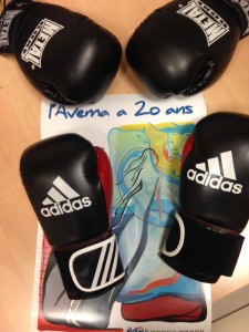 Boxe AVEMA 1